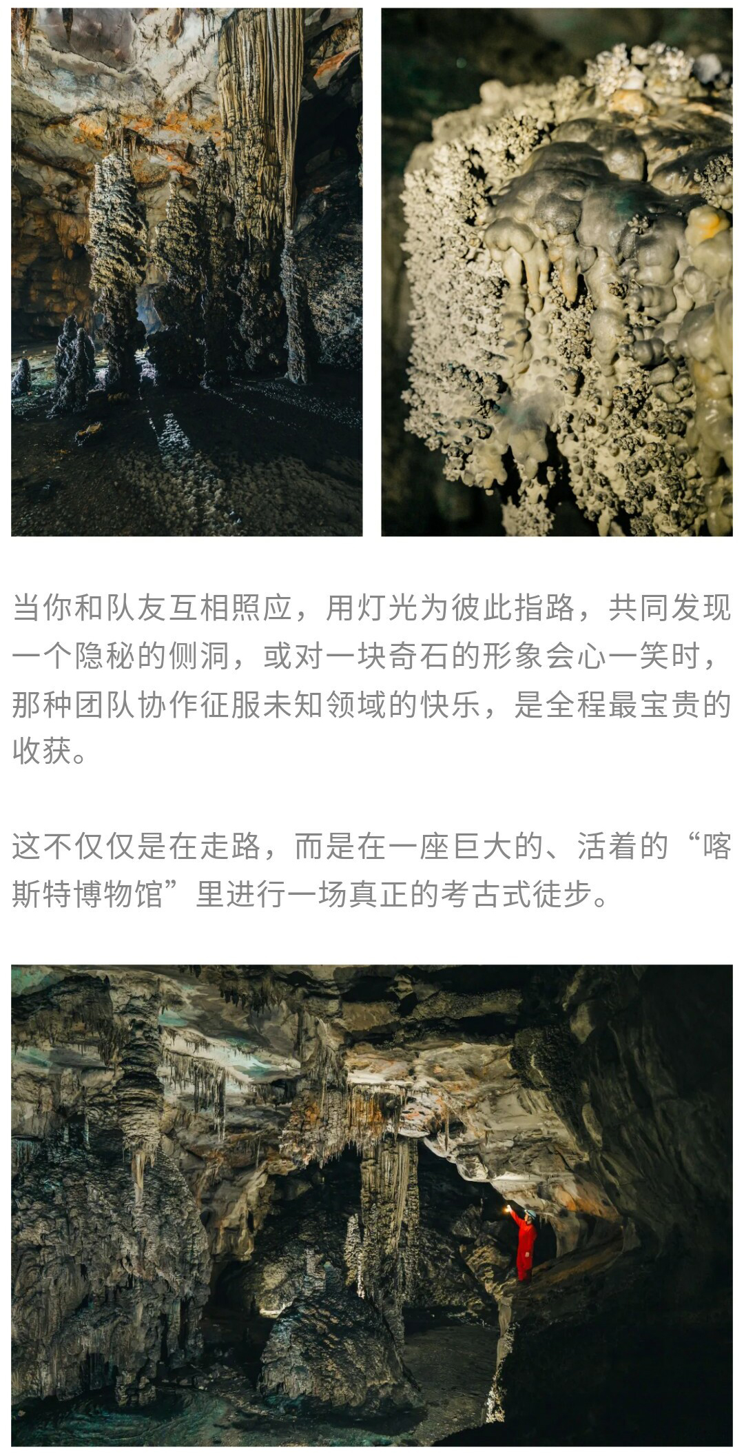 地心侏罗纪01_17