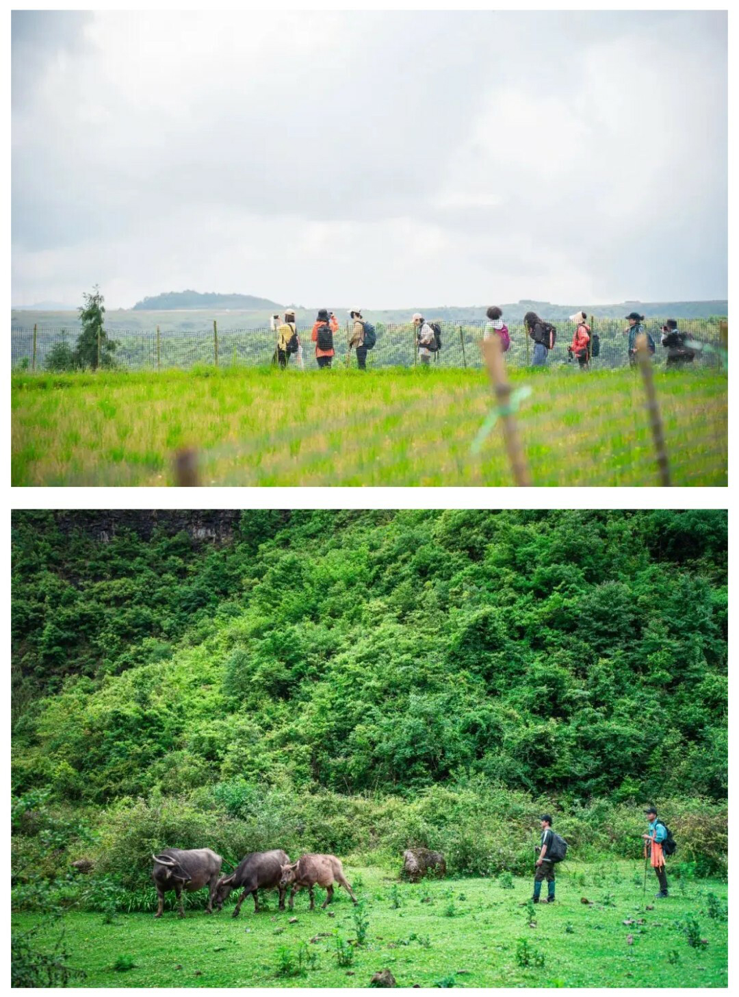 猴子沟-秀米01_04