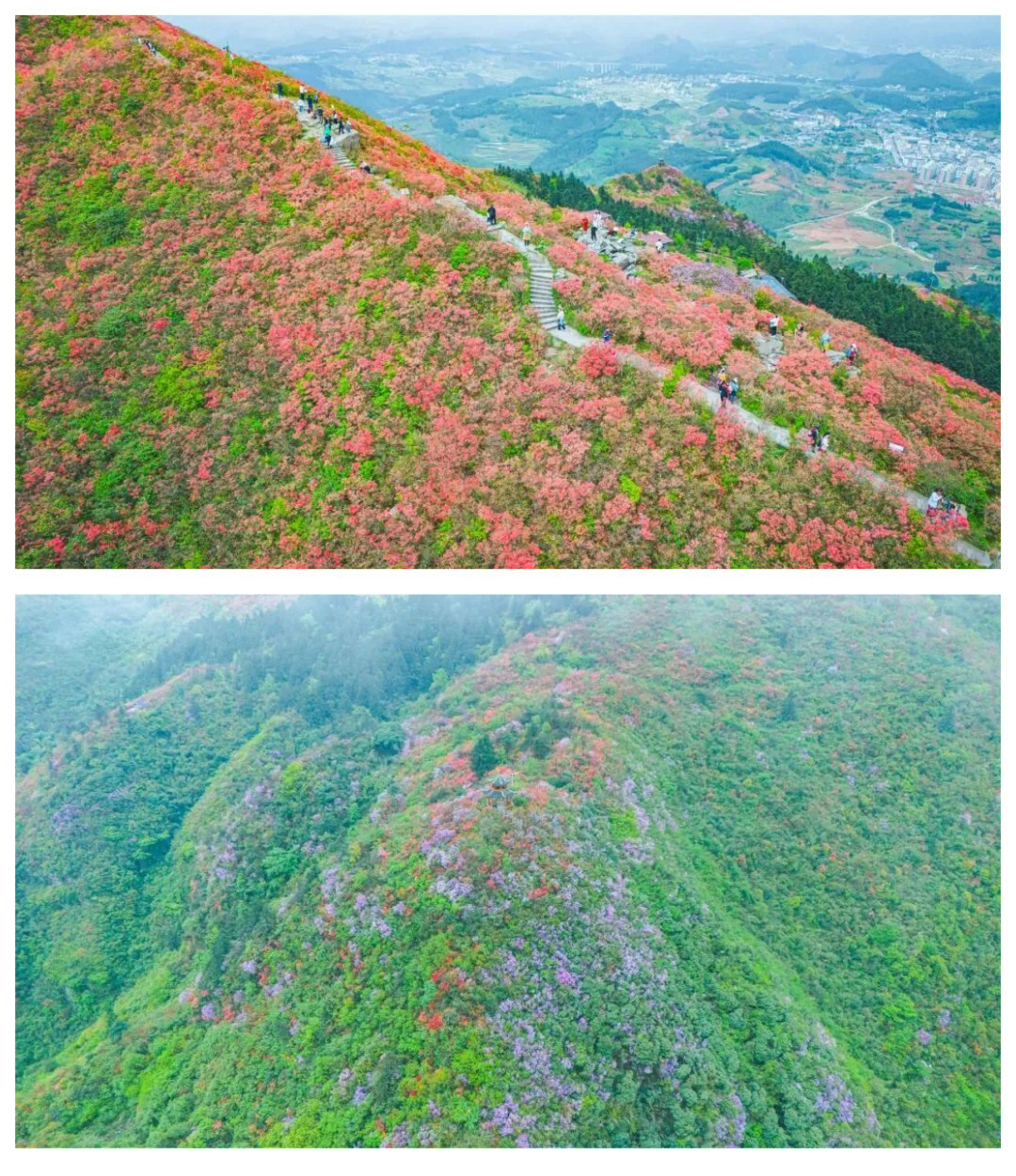 龙泉山-秀米01_05