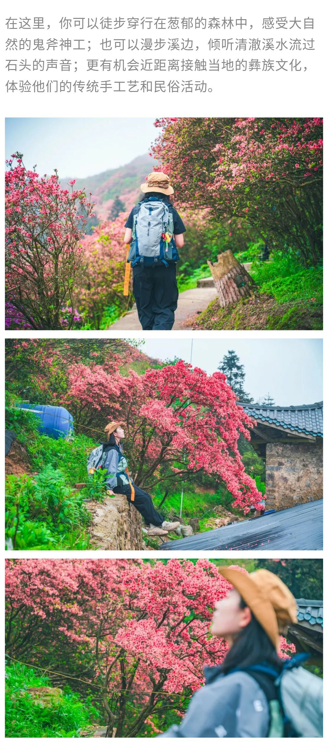 龙泉山-秀米01_06