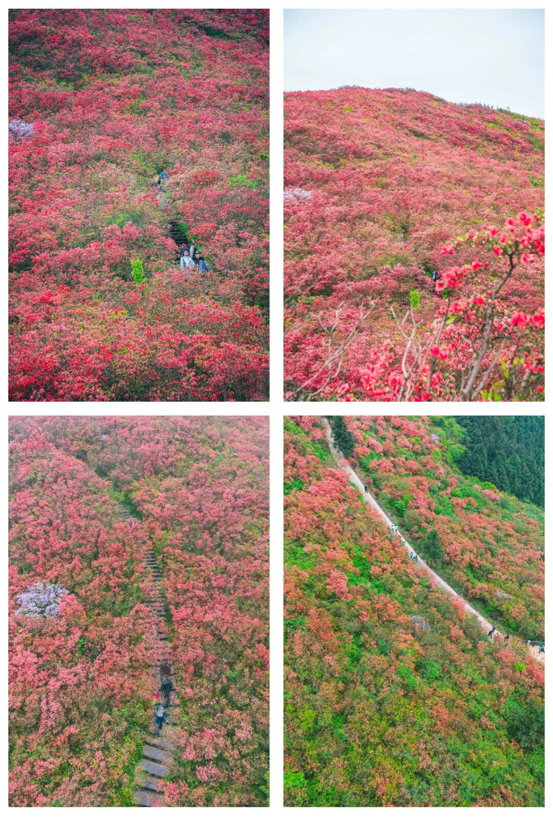 龙泉山-秀米01_09