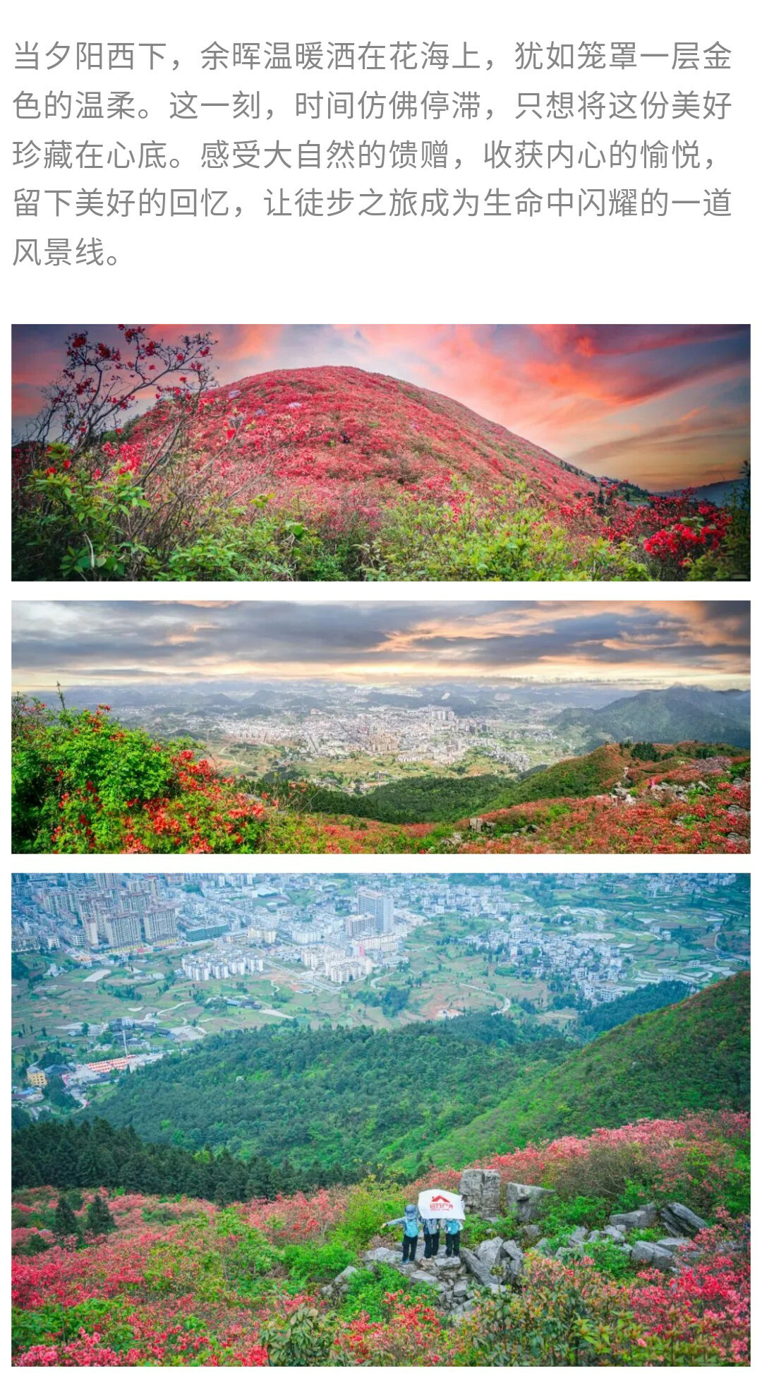 龙泉山-秀米01_12