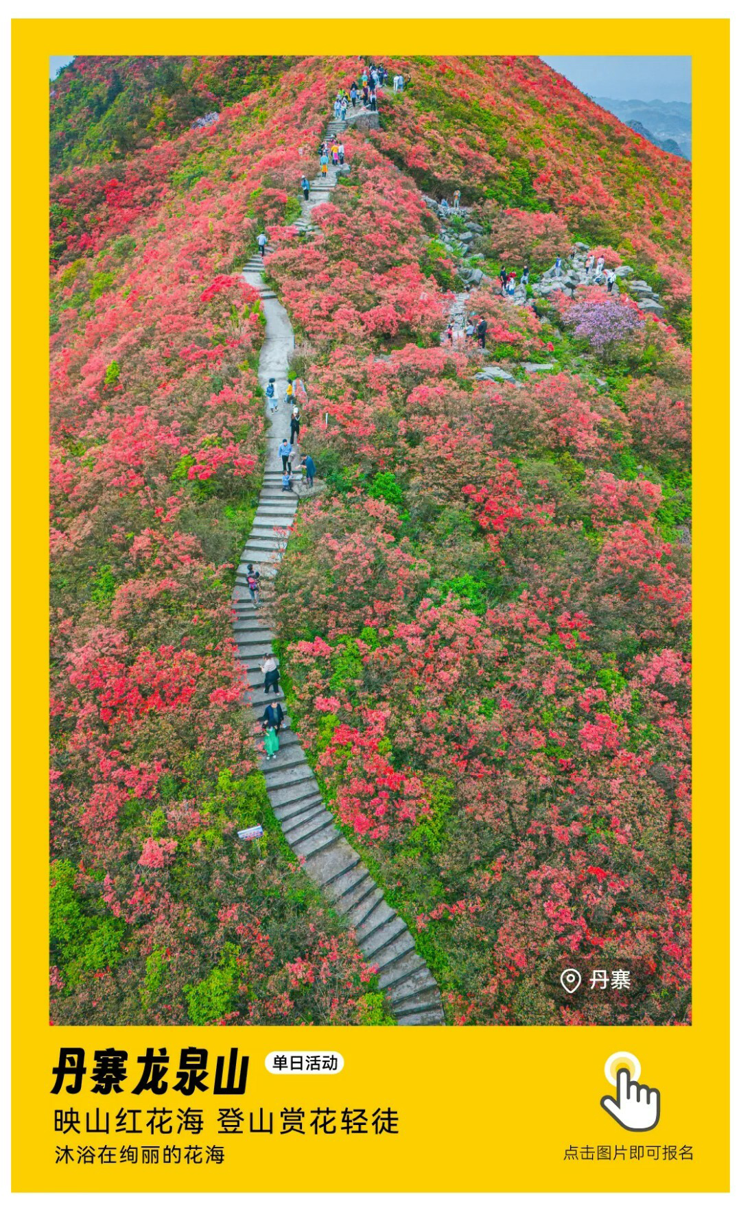 龙泉山-秀米01_01