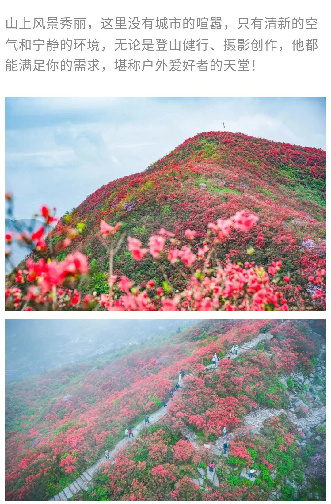 龙泉山-秀米01_04