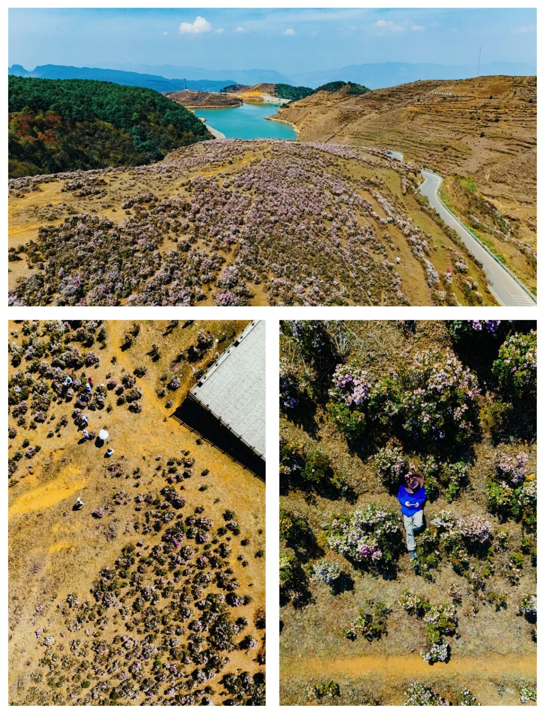 牛棚梁子-更新版-秀米01_16