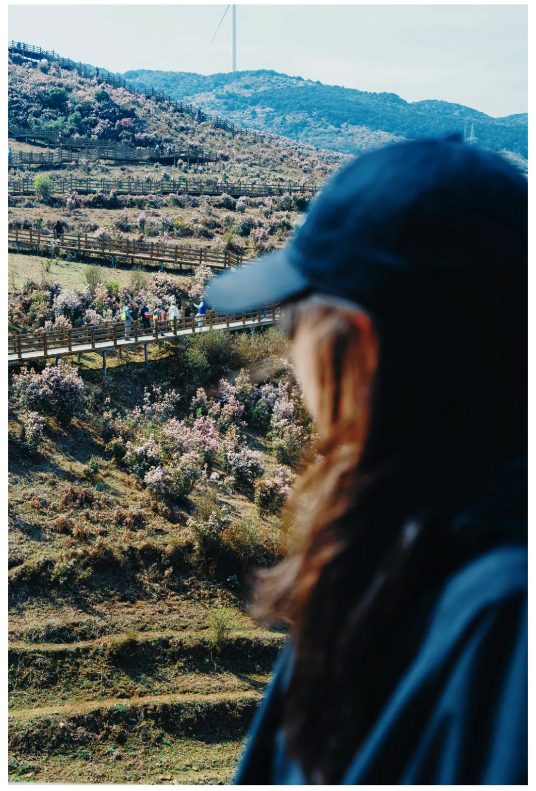 牛棚梁子-更新版-秀米01_17