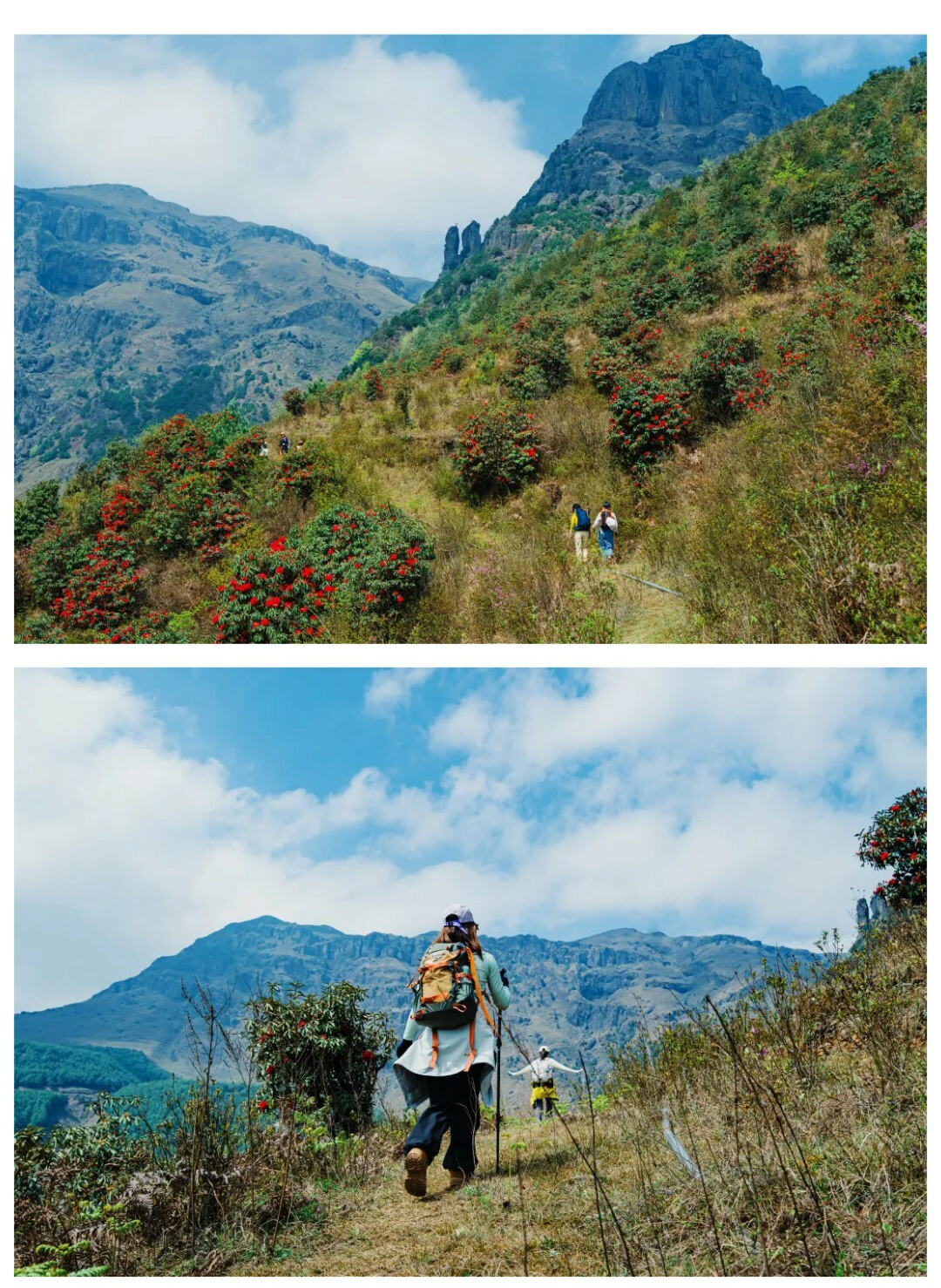 牛棚梁子-更新版-秀米01_05