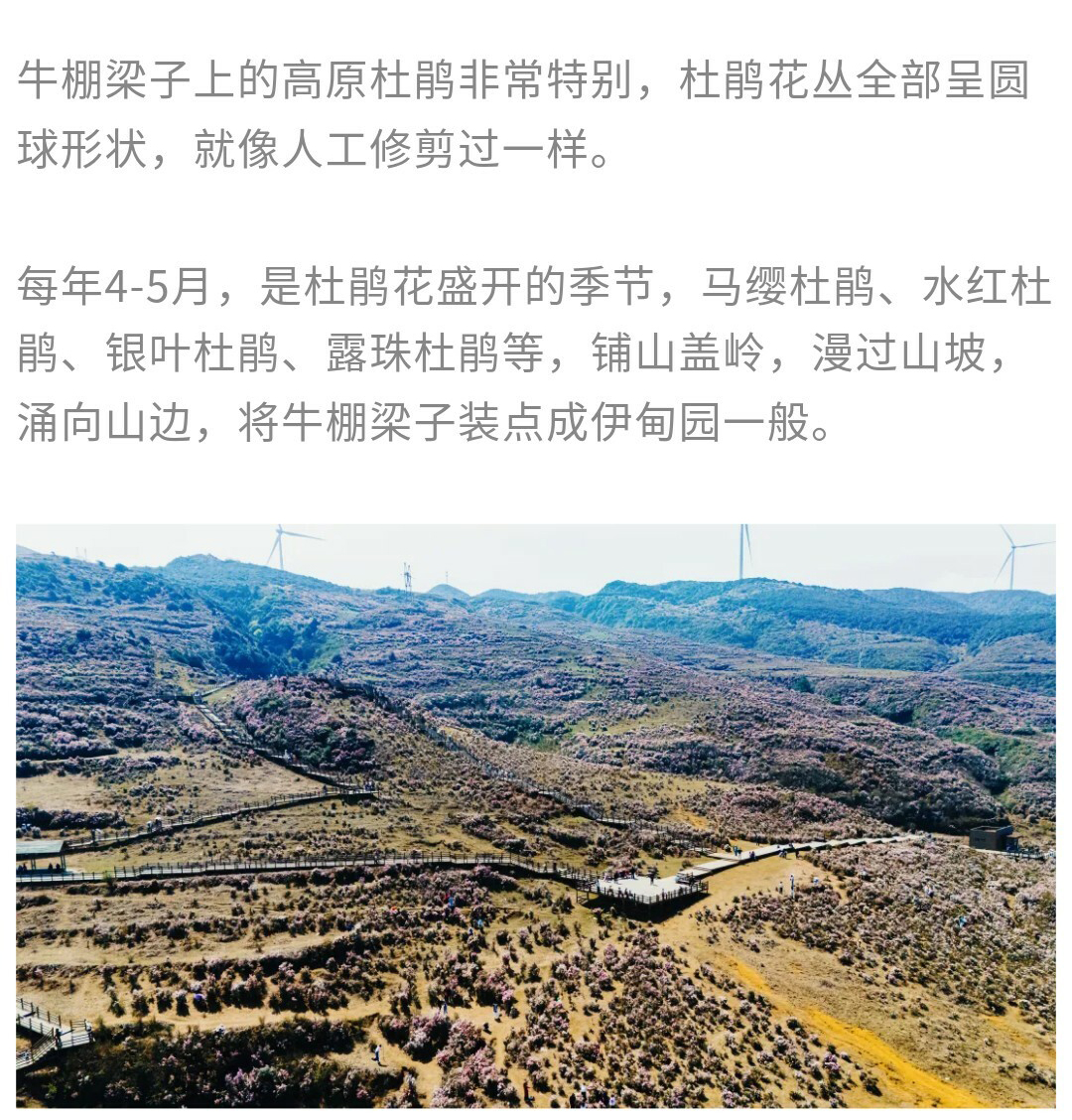 牛棚梁子-更新版-秀米01_15