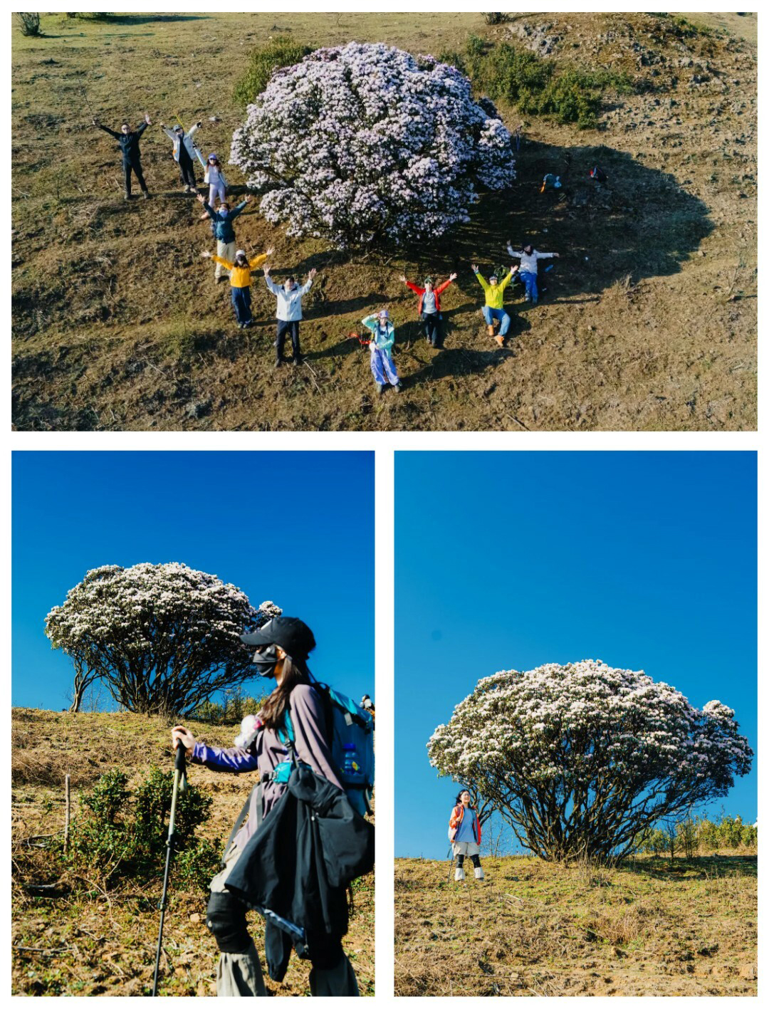 牛棚梁子-更新版-秀米01_12