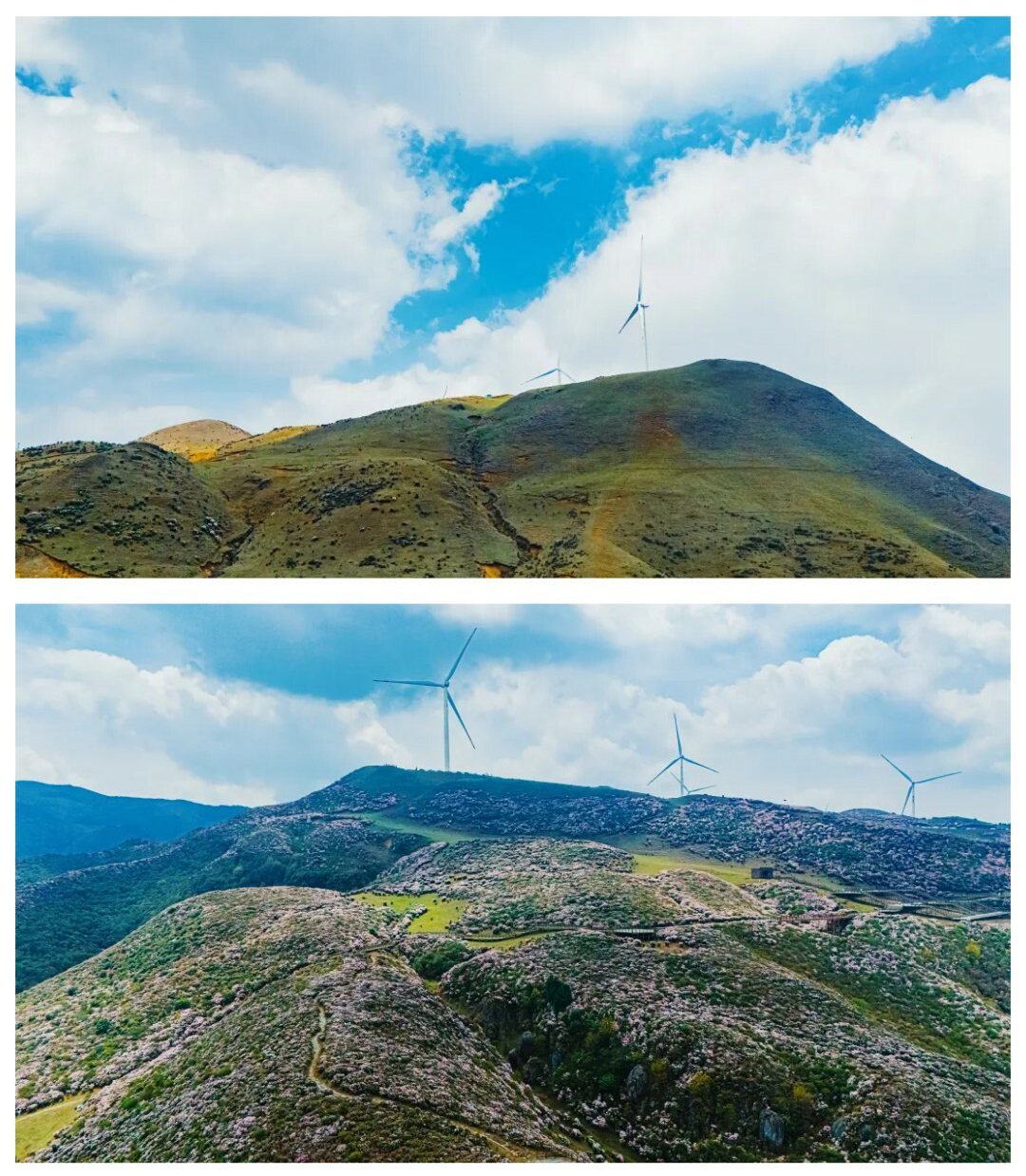 牛棚梁子-更新版-秀米01_09