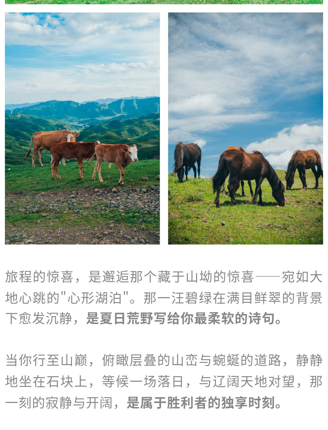 云上贵州阿西里西01_08