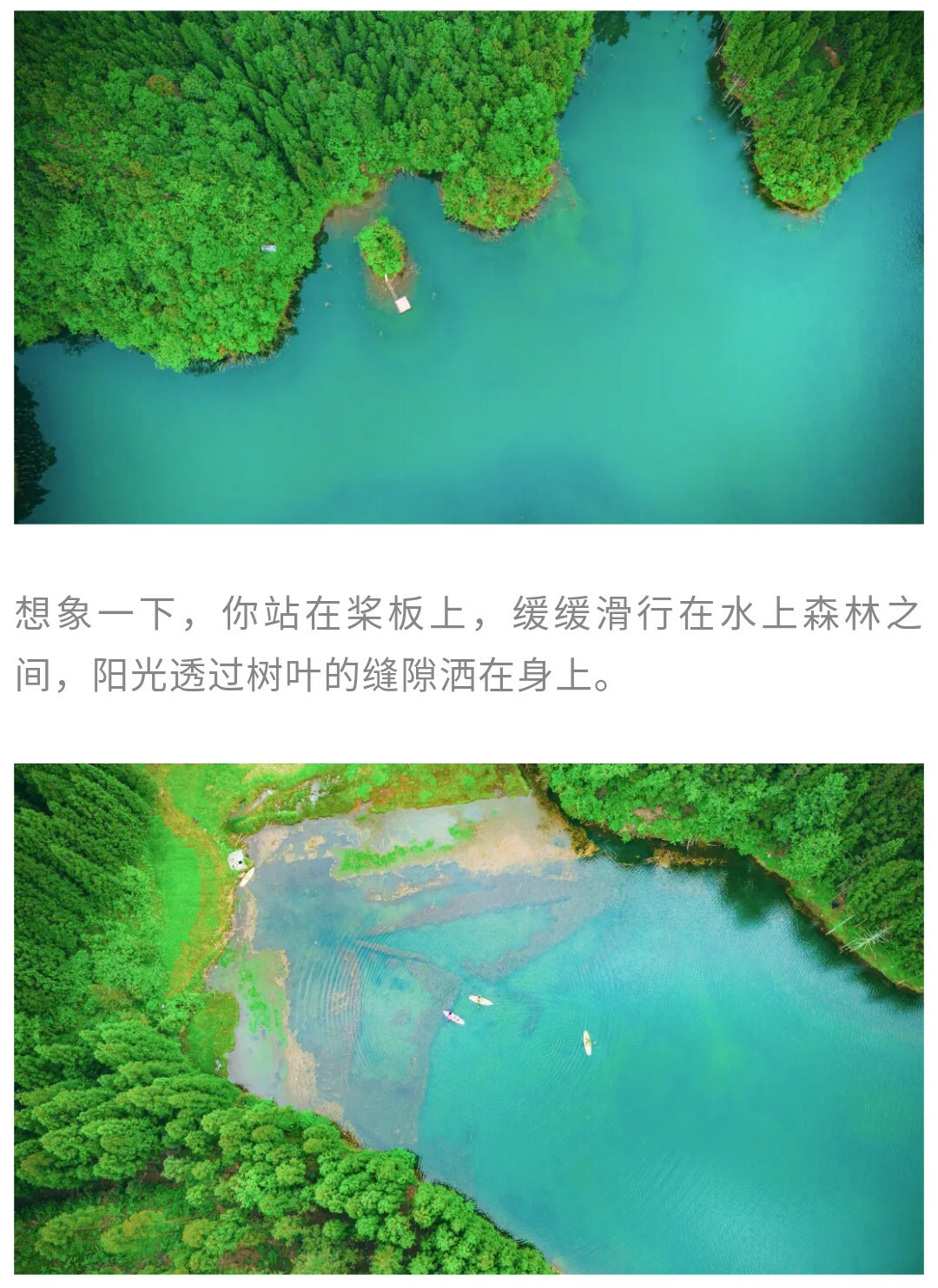 水上森林_04
