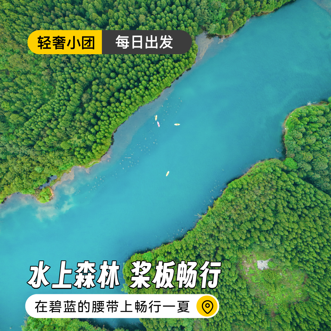 【每日出发】水上森林 桨板畅行｜在碧蓝的腰带上畅行一夏
