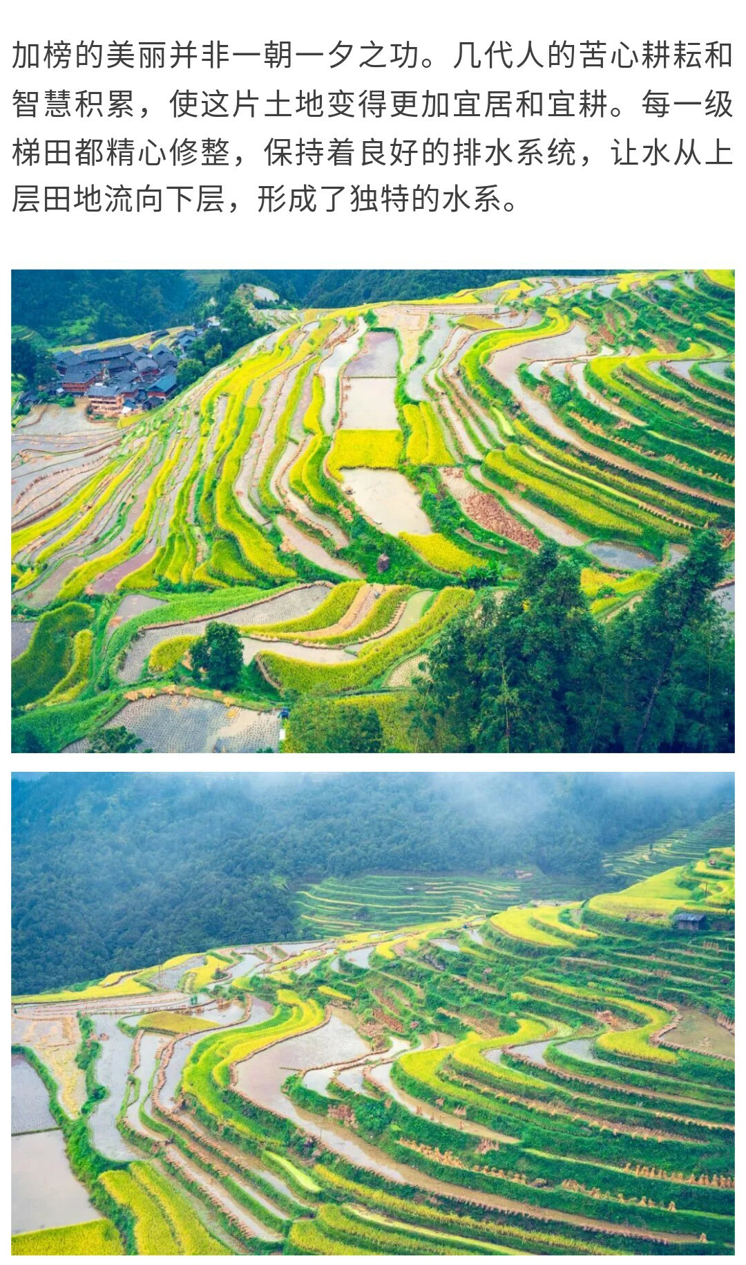 加榜01_07