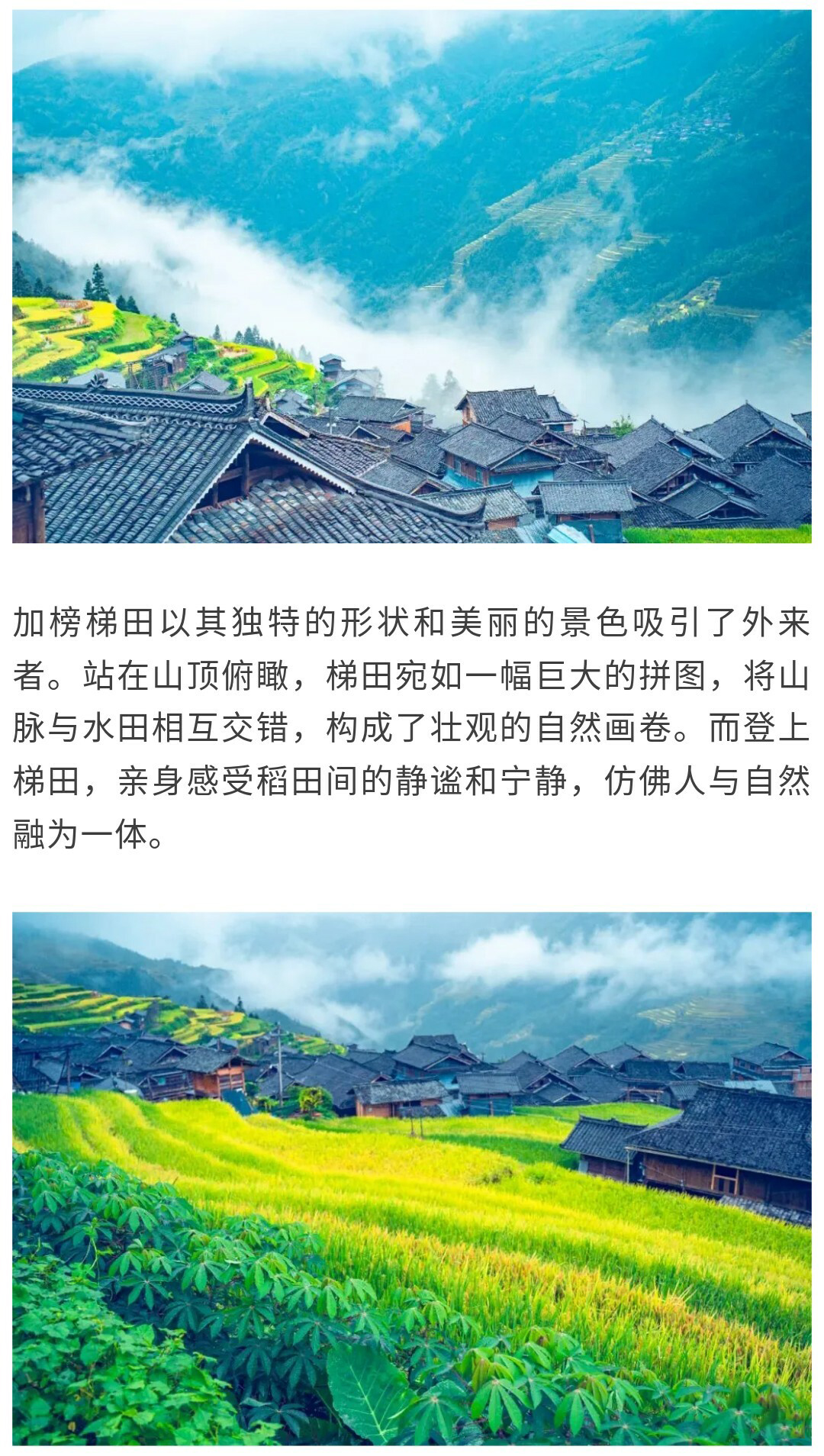 加榜01_05